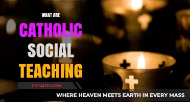 Understanding Catholic Social Teaching: Principles for Justice and Charity