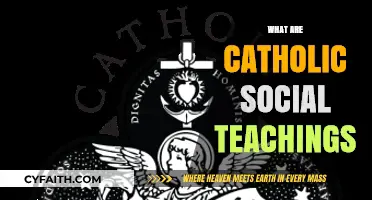 Understanding Catholic Social Teachings: Faith, Justice, and Human Dignity Explained