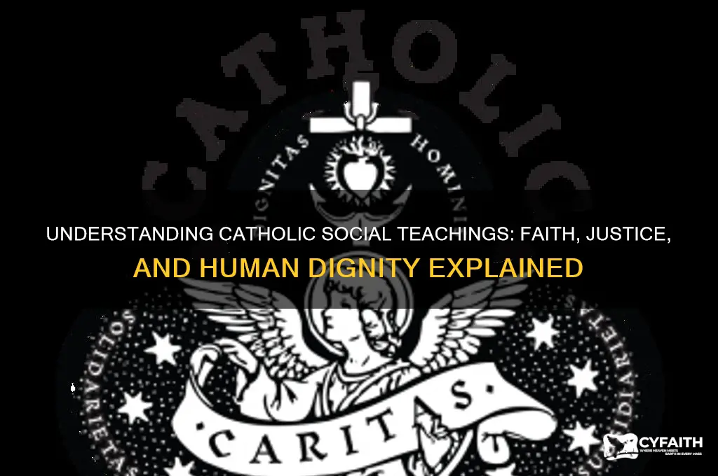 what are catholic social teachings