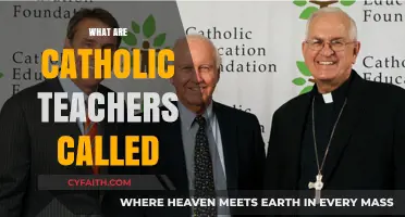 Understanding the Role: What Are Catholic School Teachers Called?