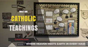 Understanding Catholic Teachings: Core Principles and Faith Foundations Explained