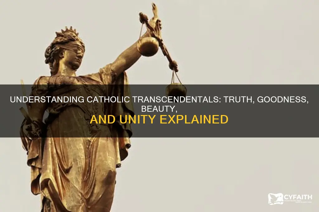 what are catholic transcendentals