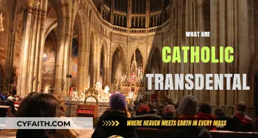 Understanding Catholic Transdentals: Exploring Faith's Universal Truths and Values