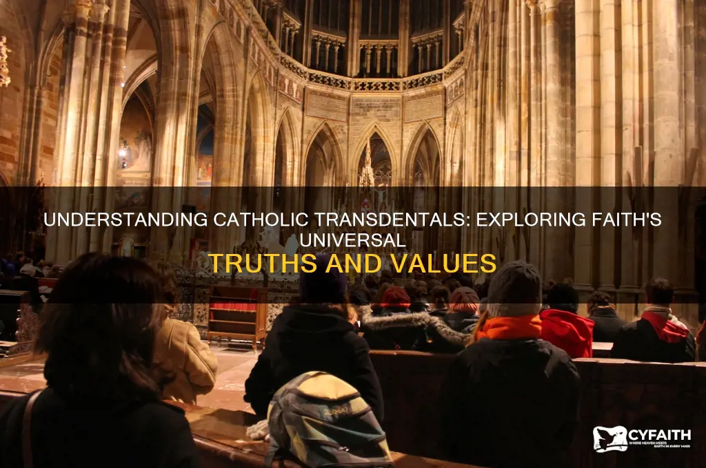 what are catholic transdentals