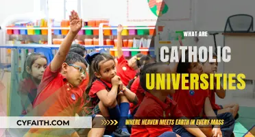 Exploring Catholic Universities: Faith, Education, and Academic Excellence