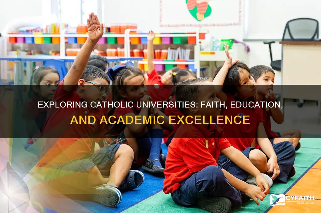 what are catholic universities