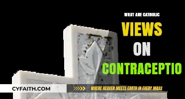 Catholic Contraception Views: Understanding the Church's Stance