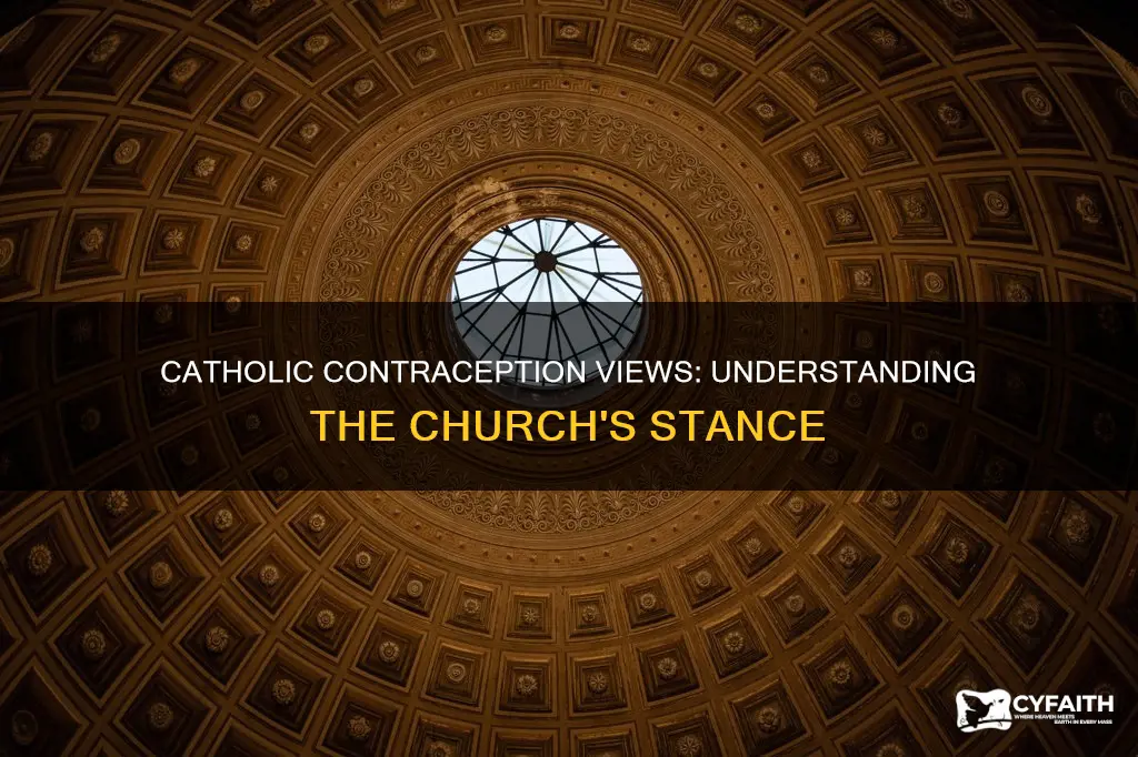 what are catholic views on contraception