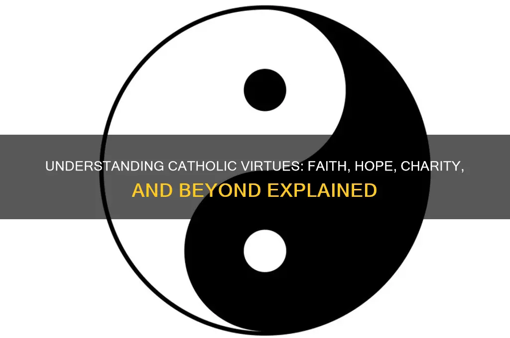 what are catholic virtues