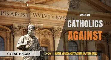 Understanding Catholic Opposition: Key Beliefs and Practices They Resist