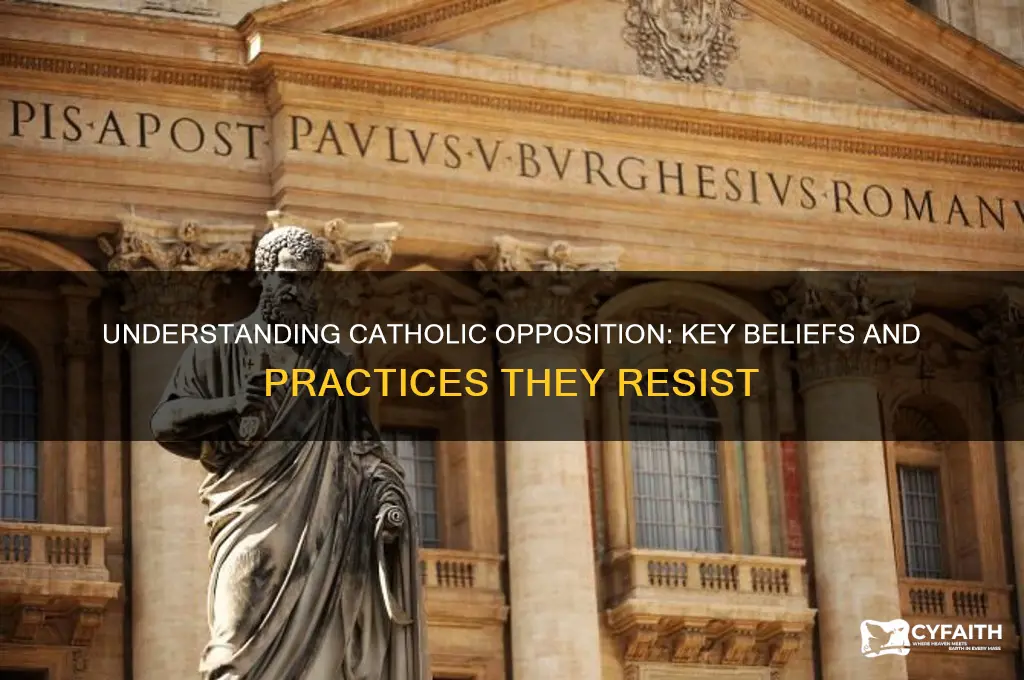 what are catholics against
