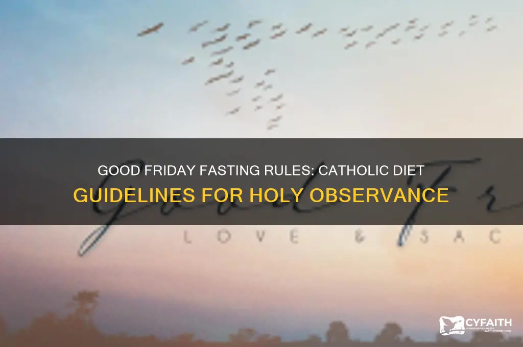 what are catholics allowed to eat on good friday