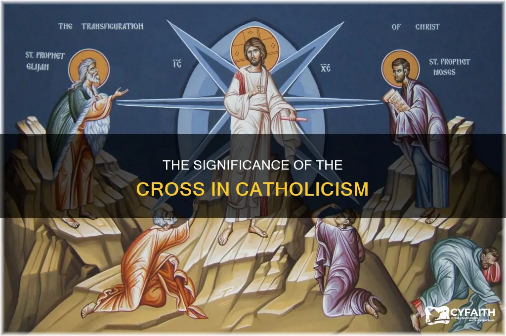 what are catholics beliefs about the cross