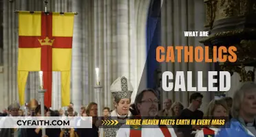 Understanding the Names and Identities of Catholics Worldwide