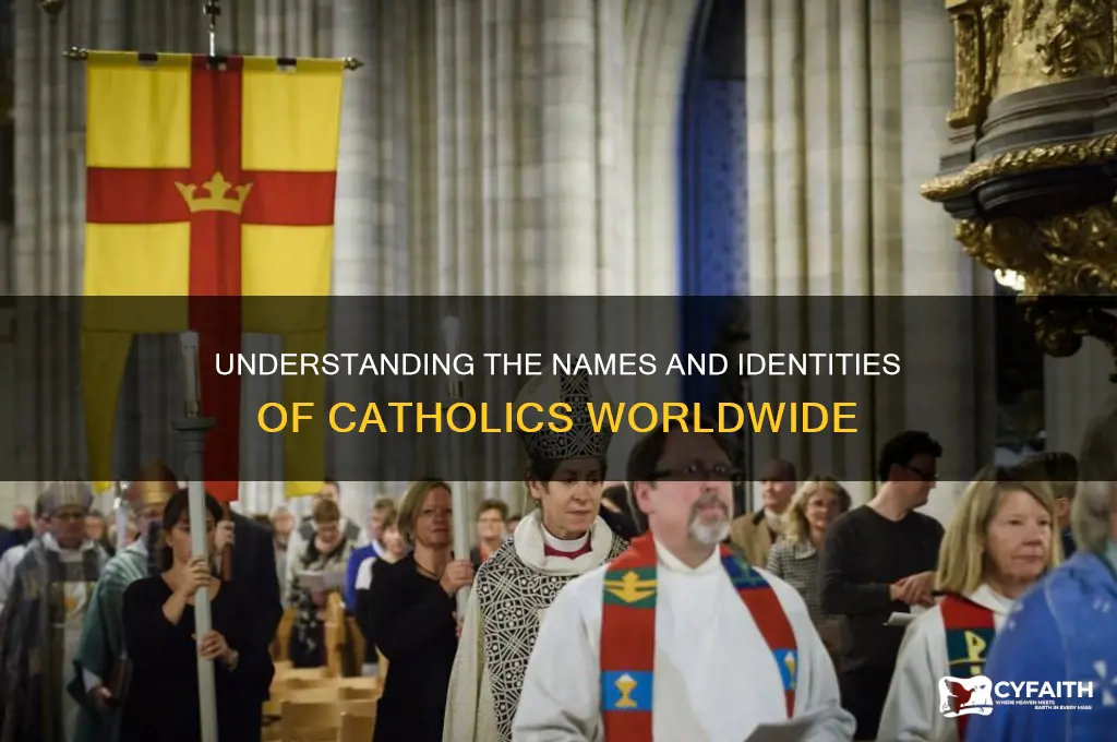 what are catholics called