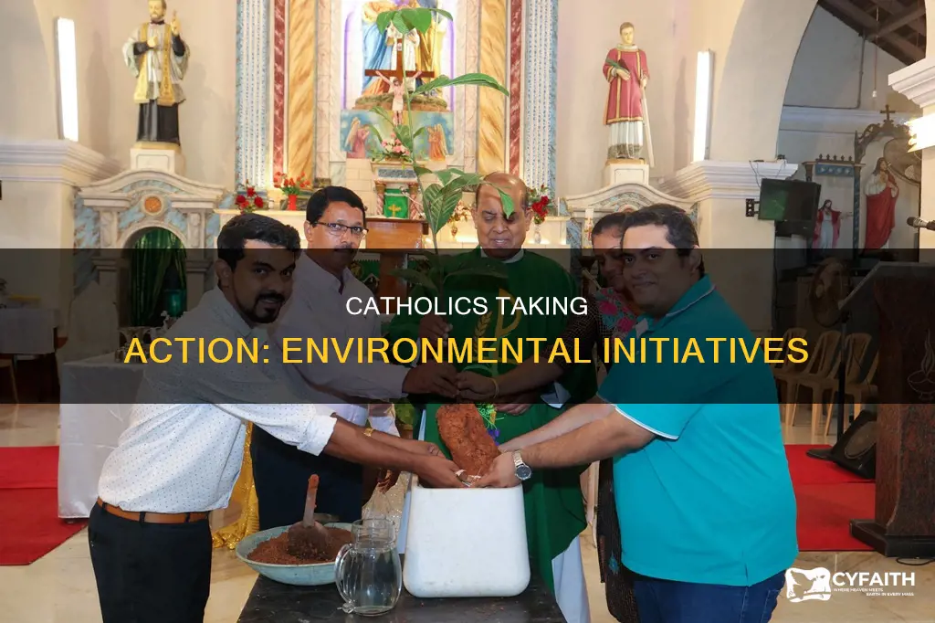what are catholics doing for the environment