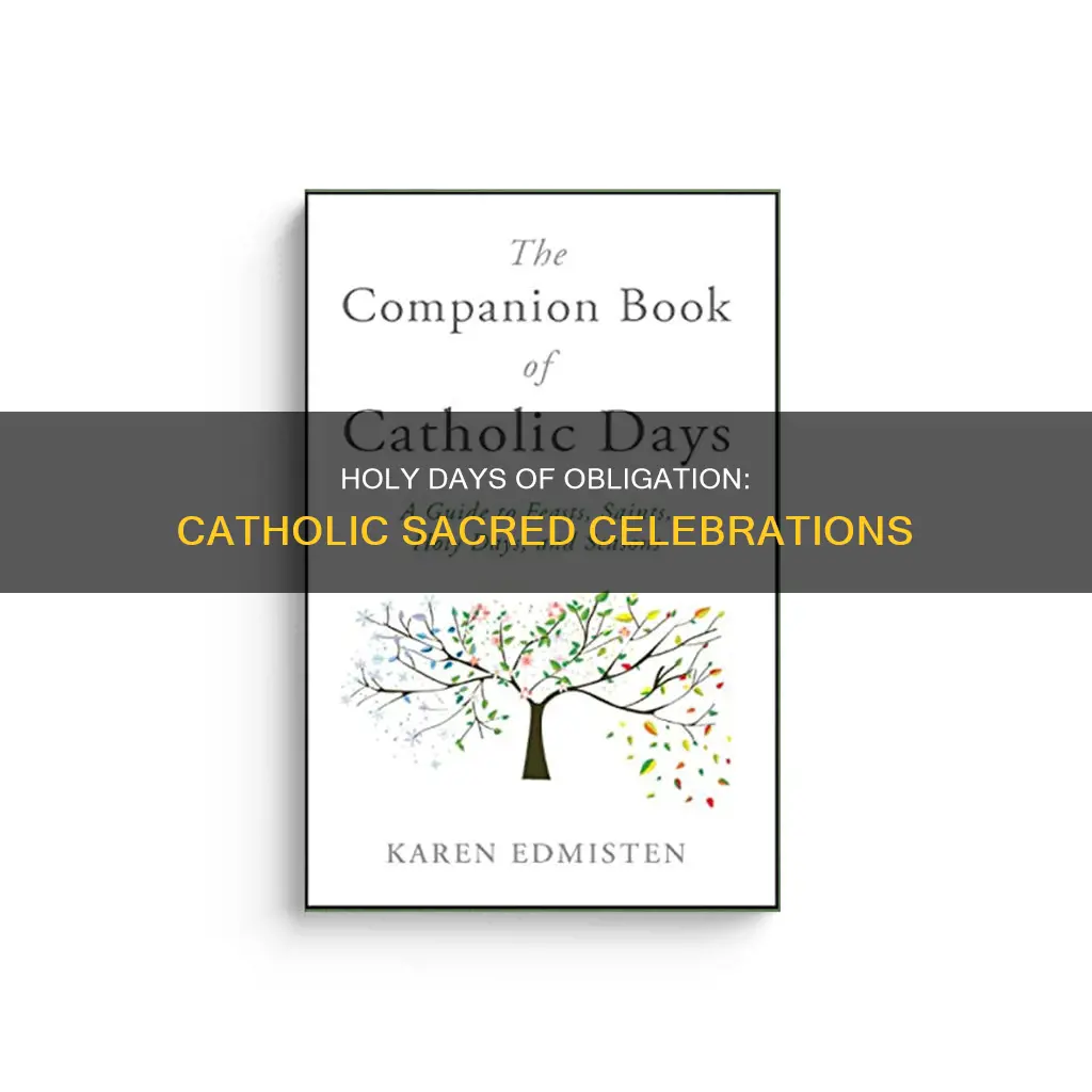 what are catholics holy day called
