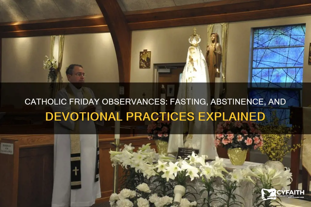 what are catholics required to do on the fridays
