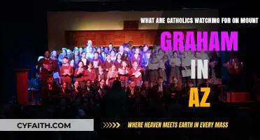 Mount Graham's Celestial Watch: Catholic Observances in Arizona's Skies