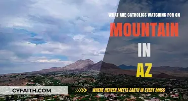 Catholic Vigilance: Arizona Mountain Watch and Its Spiritual Significance