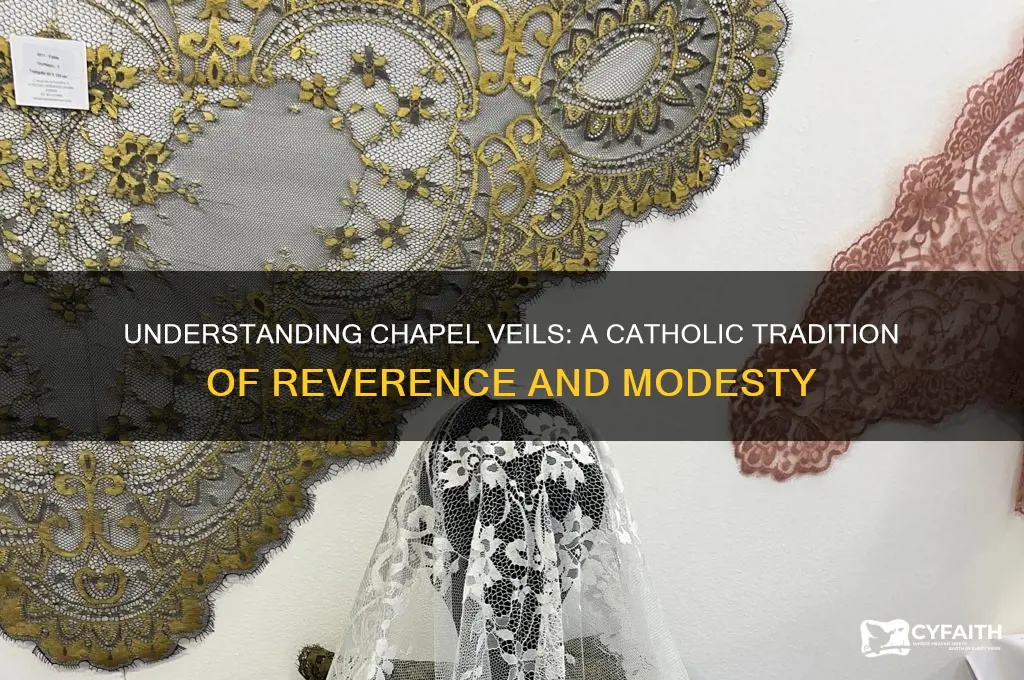 what are chapel veils catholic