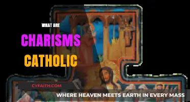 Understanding Catholic Charisms: Gifts of the Holy Spirit Explained
