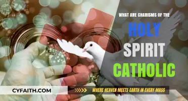 Holy Spirit Charisms: Gifts for the Common Good