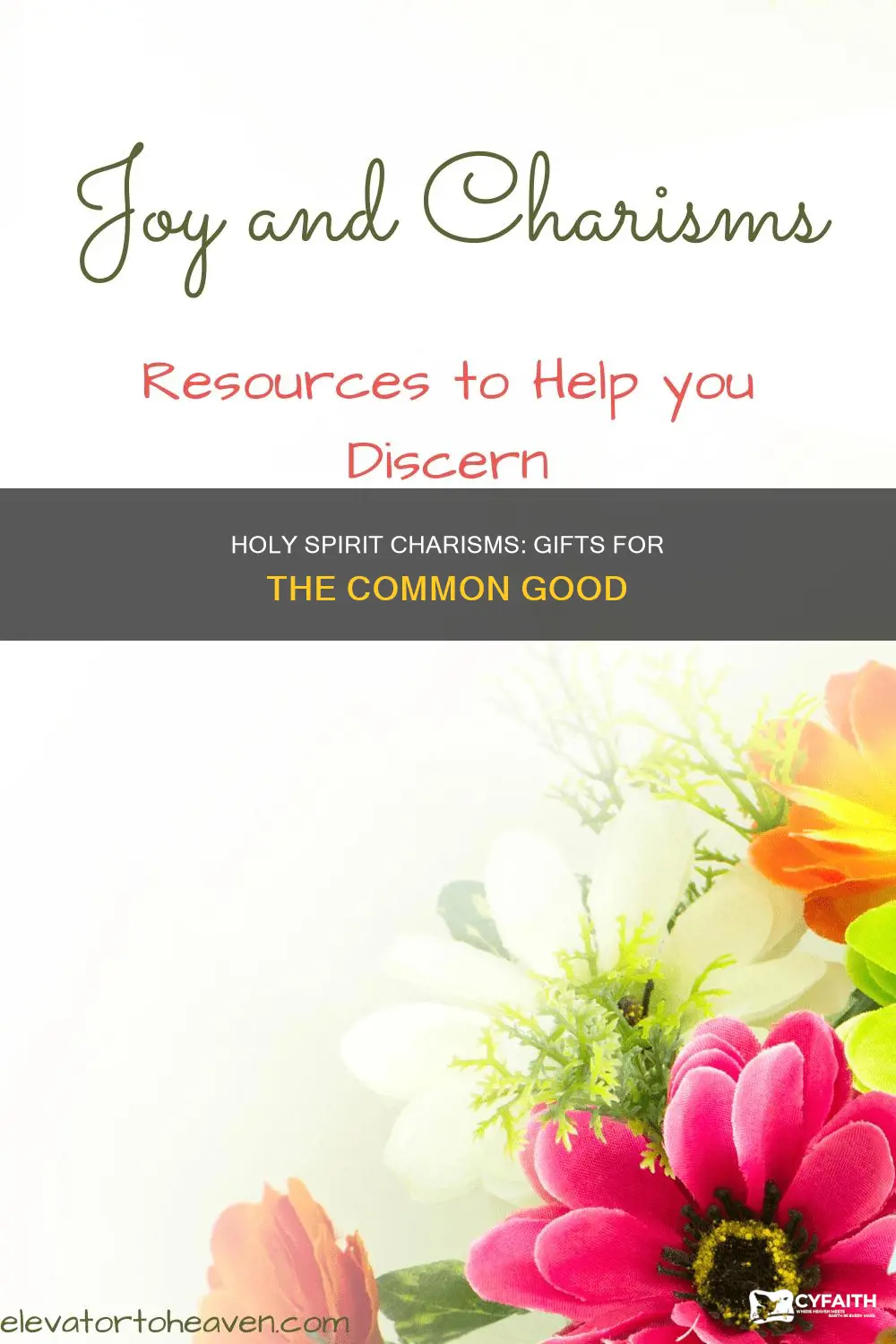 what are charisms of the holy spirit catholic