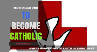 Exploring Catholic Conversion Classes