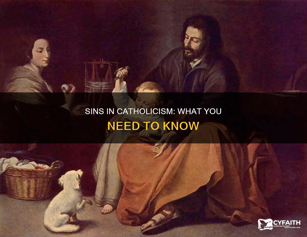 what are considered sins in the catholic religion