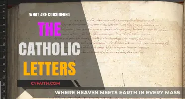 The Catholic Letters: What Are They?