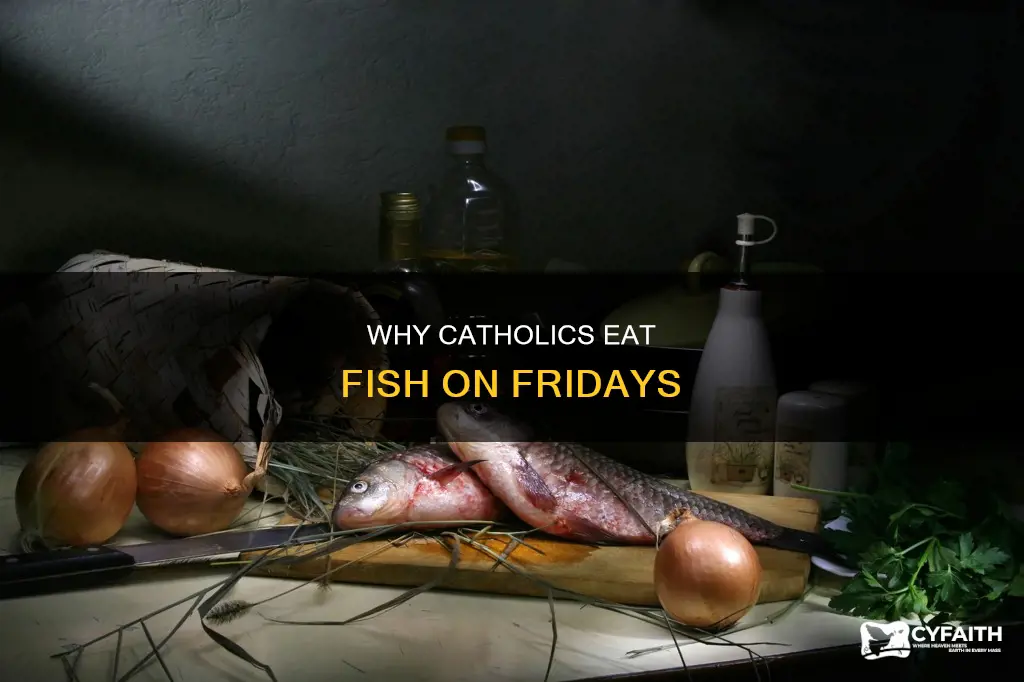 what are current catholic rules regarding friday fish