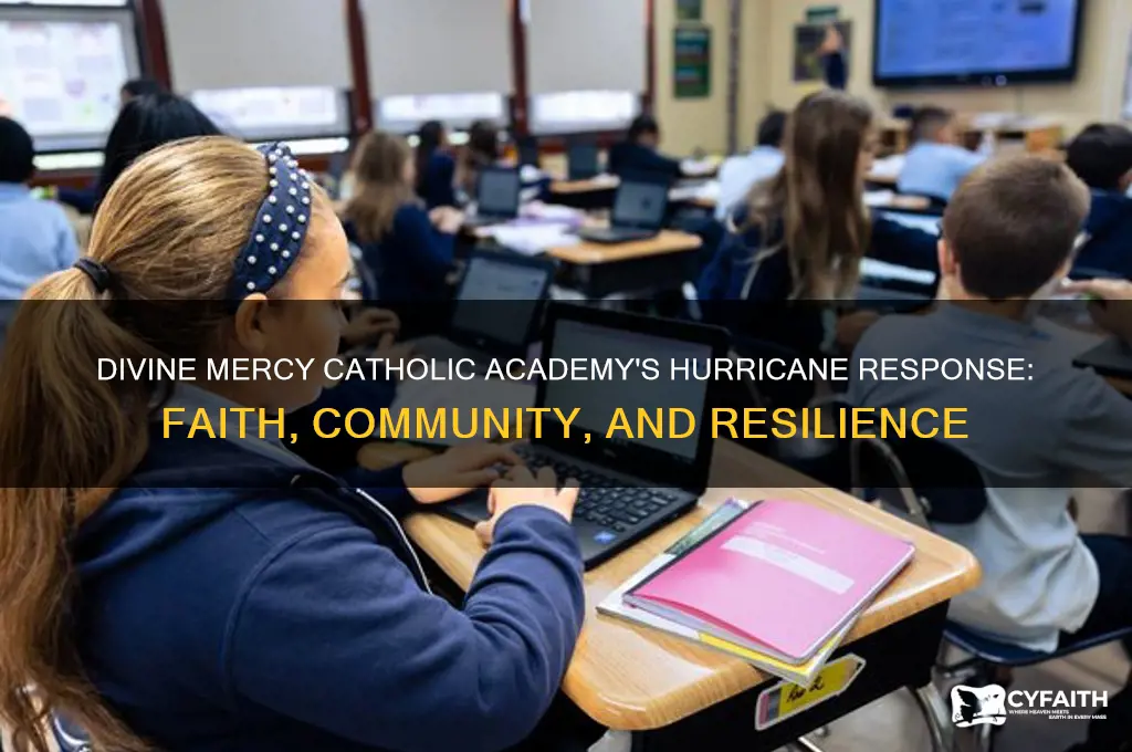 what are divine mercy