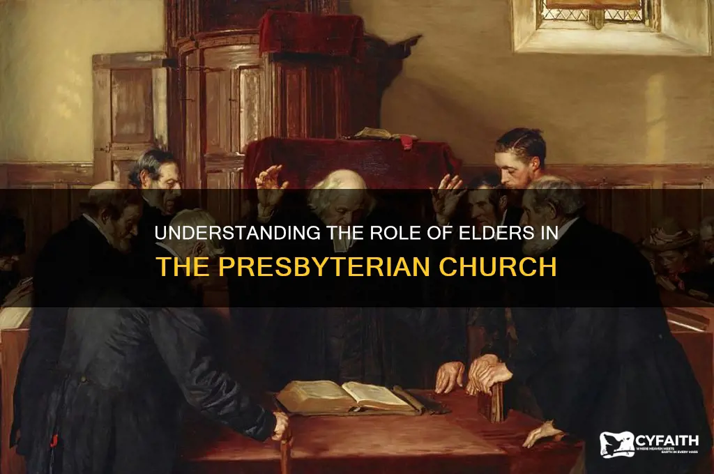 what are elders in the presbyterian church