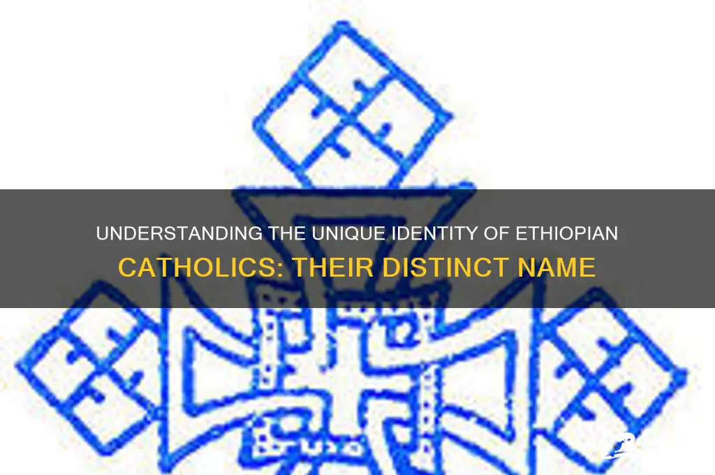 what are ethiopian catholics called