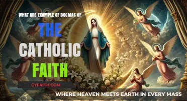 Exploring Core Dogmas of the Catholic Faith: Beliefs and Teachings
