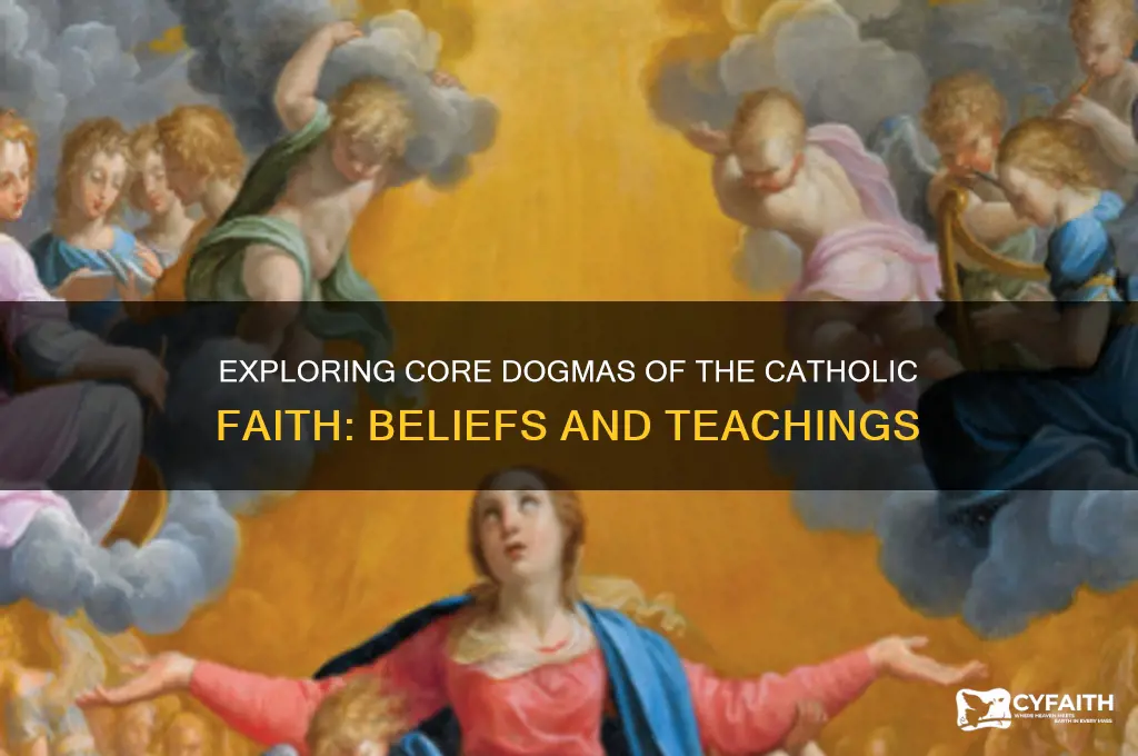 what are example of dogmas of the catholic faith