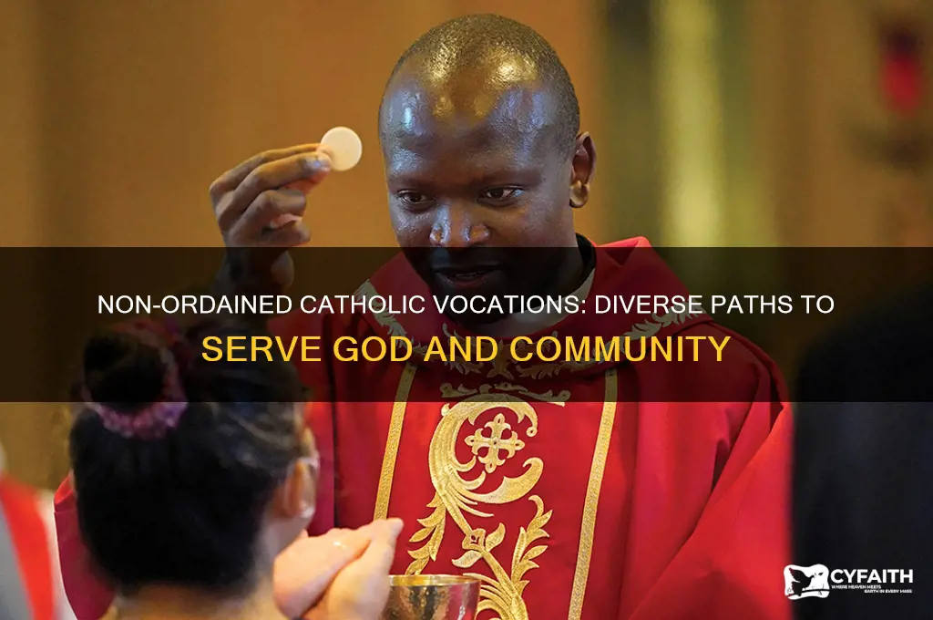 what are examples of religious vocations for non ordained catholics