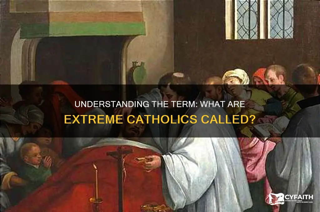 what are extreme catholics called