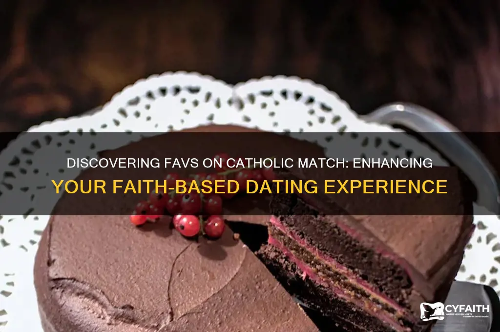 what are favs catholic match