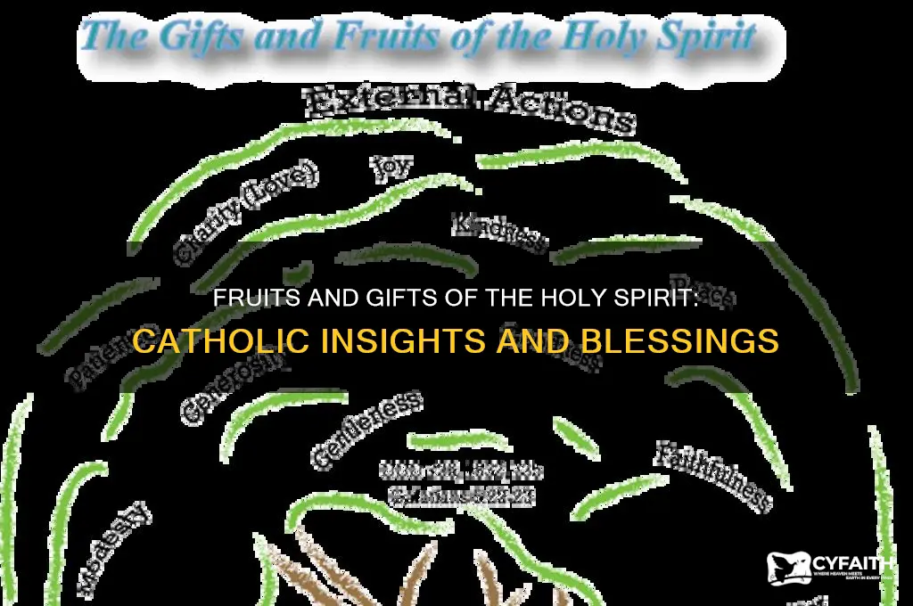 what are fruits and gifts of the holy spirit catholic