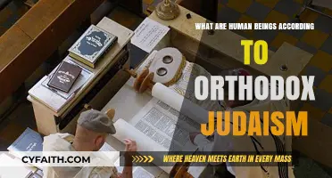 Understanding Humanity: Orthodox Judaism's Perspective on Human Beings