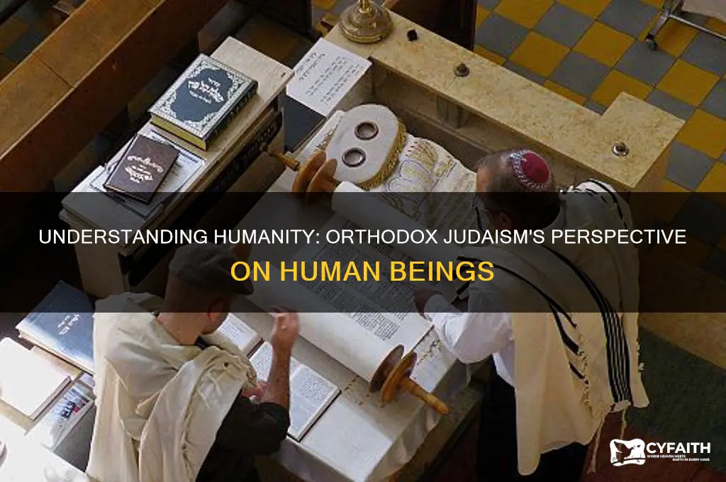 what are human beings according to orthodox judaism