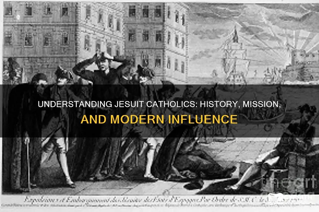 what are jesuit catholics