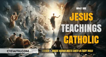 Understanding Jesus' Teachings in the Catholic Faith: Core Principles Explained