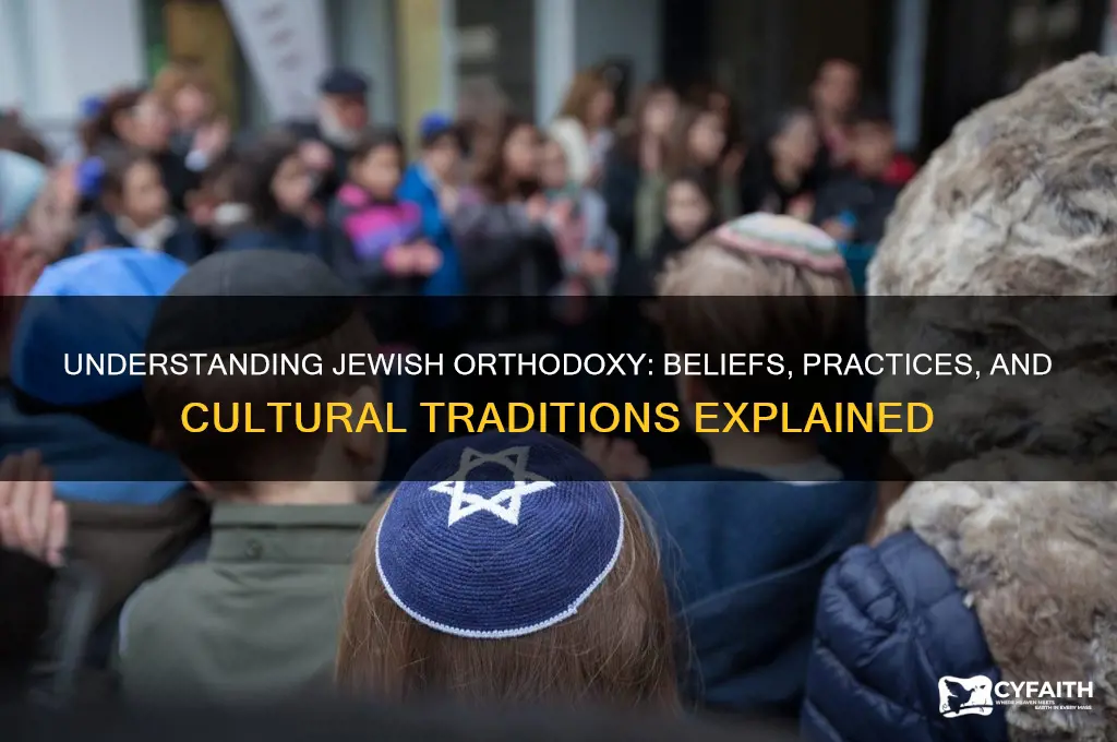 what are jewish orthodox