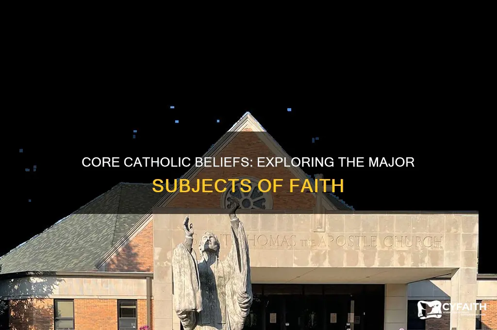 what are major subjects of faith in for catholics