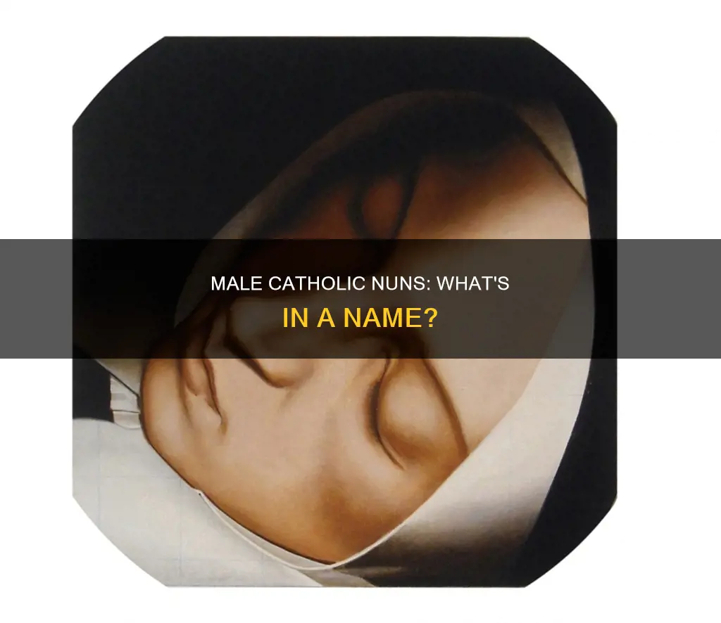 what are male catholic nuns called