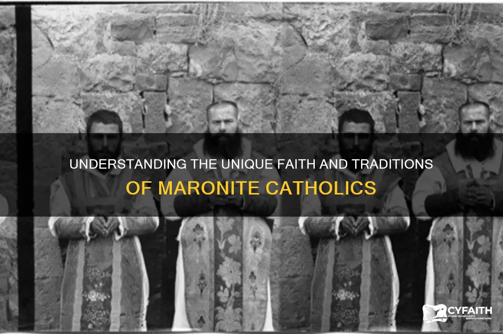 what are maronite catholic beliefs