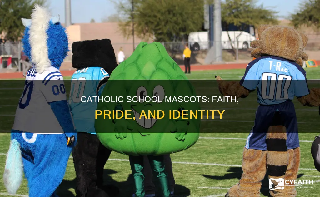 what are masocts for catholos cschools